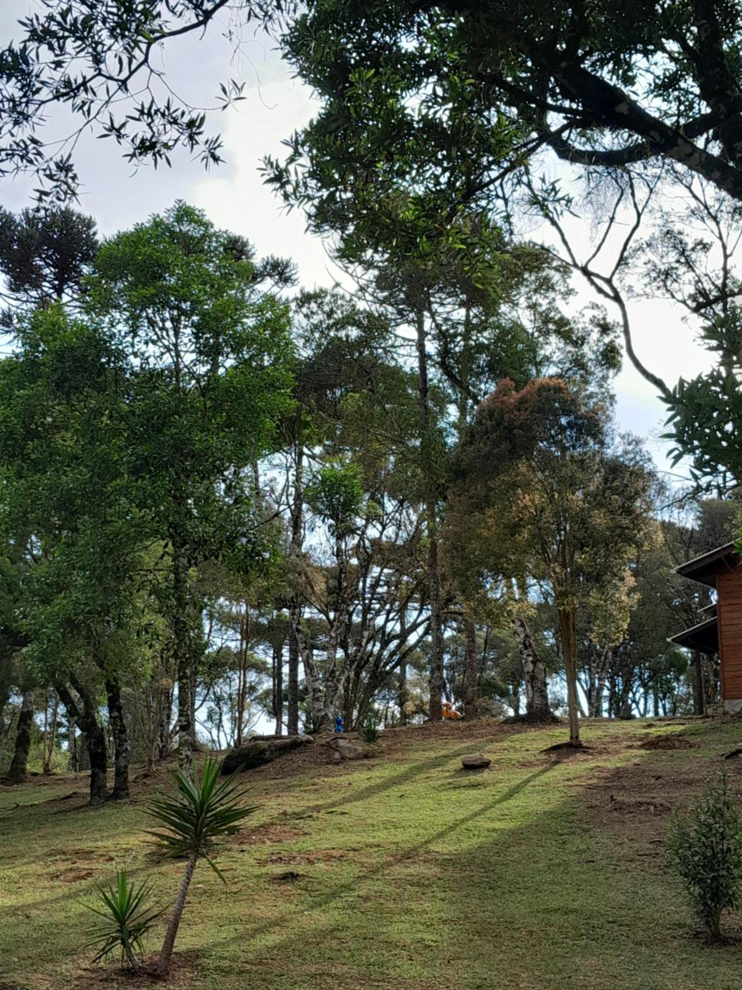 Cabanas Dos Pinheiros Sao Francisco de Paula  Room photo